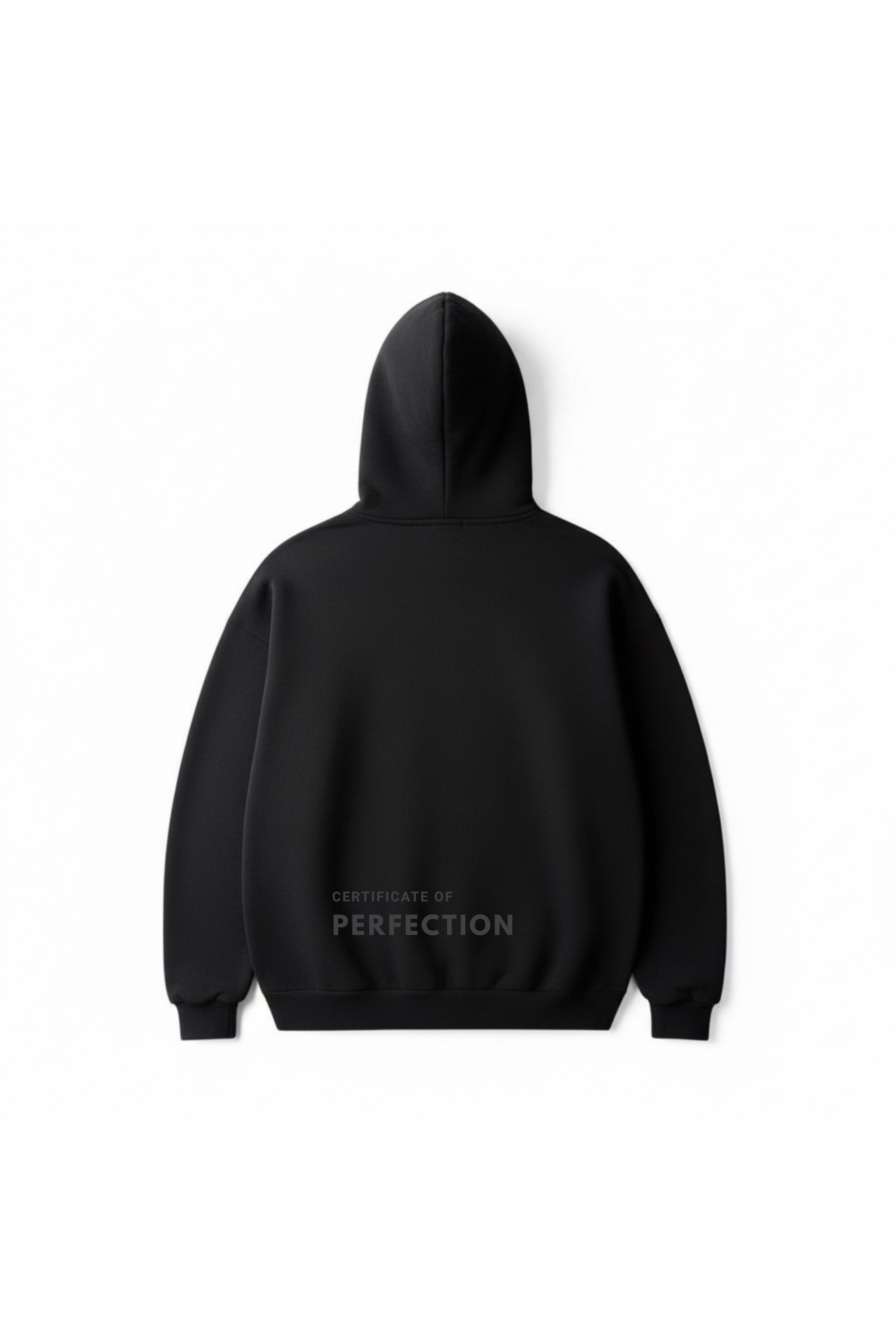 PERFECTION 01.04