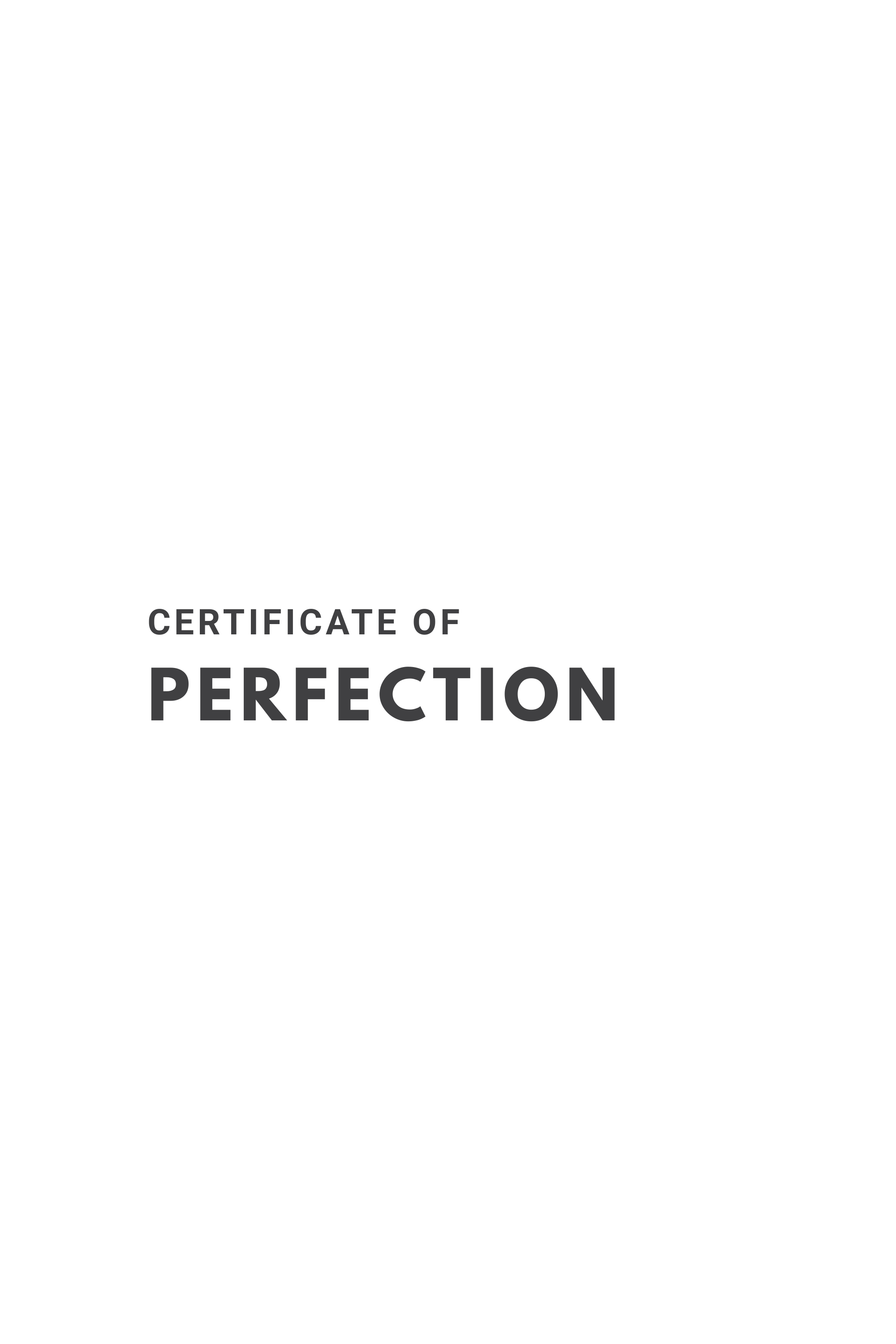 PERFECTION 01.04